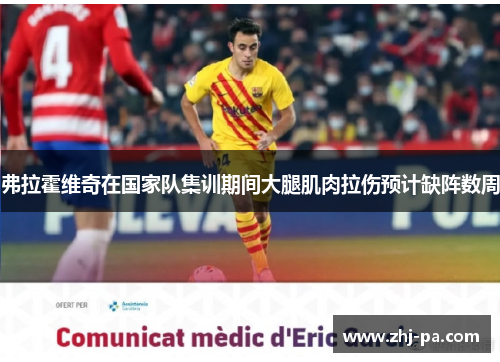 弗拉霍维奇在国家队集训期间大腿肌肉拉伤预计缺阵数周 弗拉霍维奇在国家队集训期间大腿肌肉拉伤预计缺阵数周